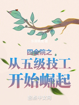 四合院儿从八级焊工开始